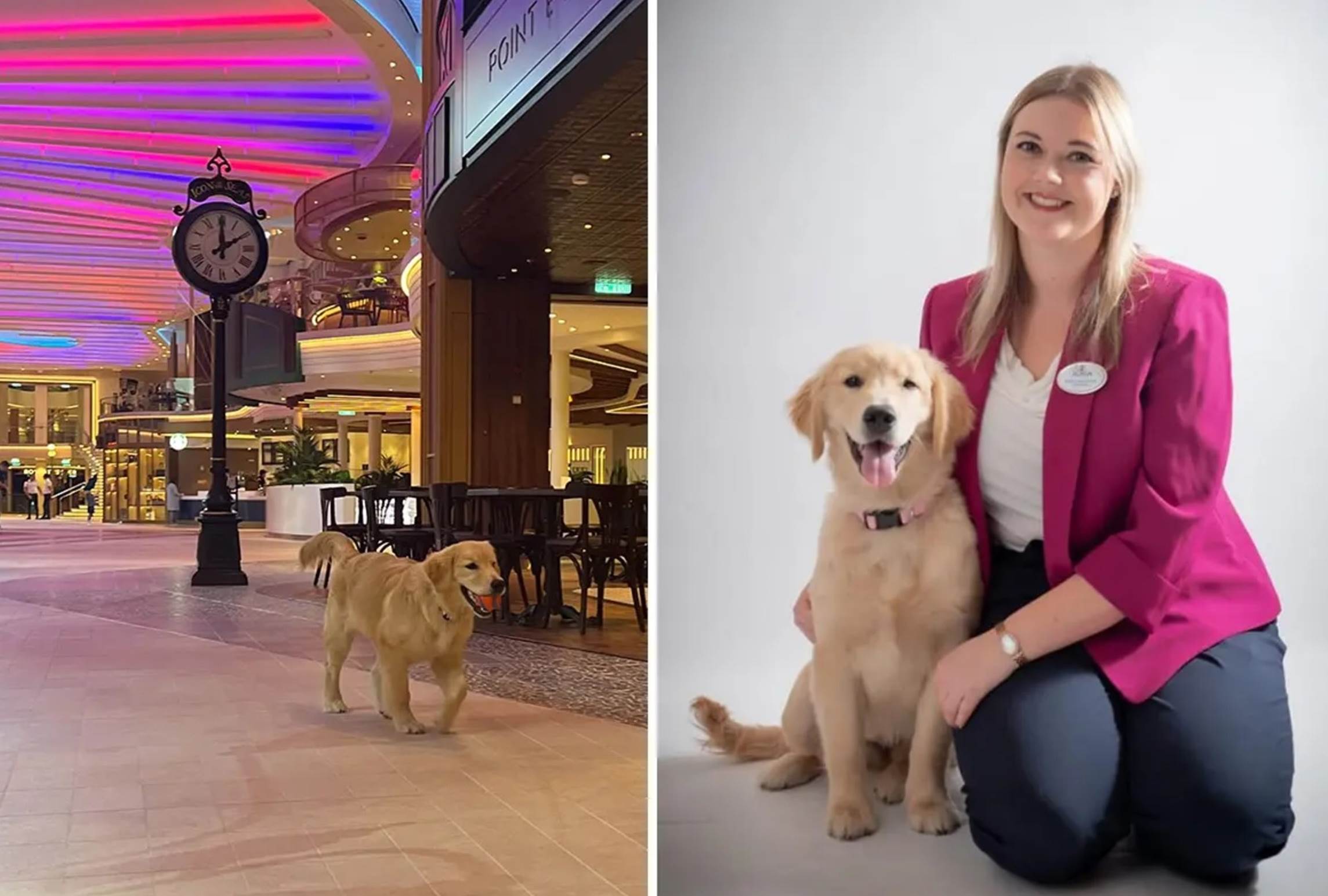 A person and a dog

Description automatically generated